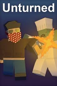 unturned server hosting cover image